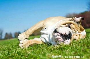 亚洲国产毛茸茸